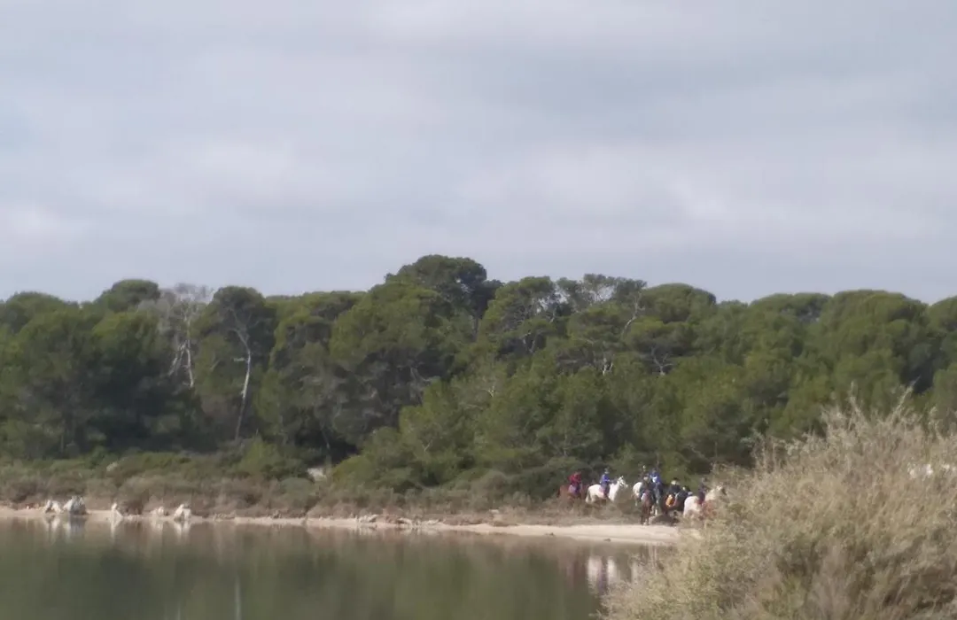 Cabanès des Aresquiers-1